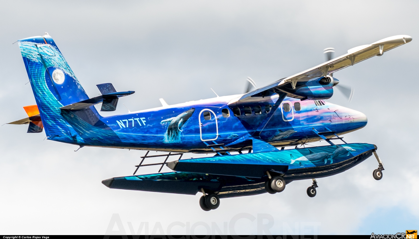 N77TF - Viking DHC-6-400 Twin Otter - Tudor Investment Company