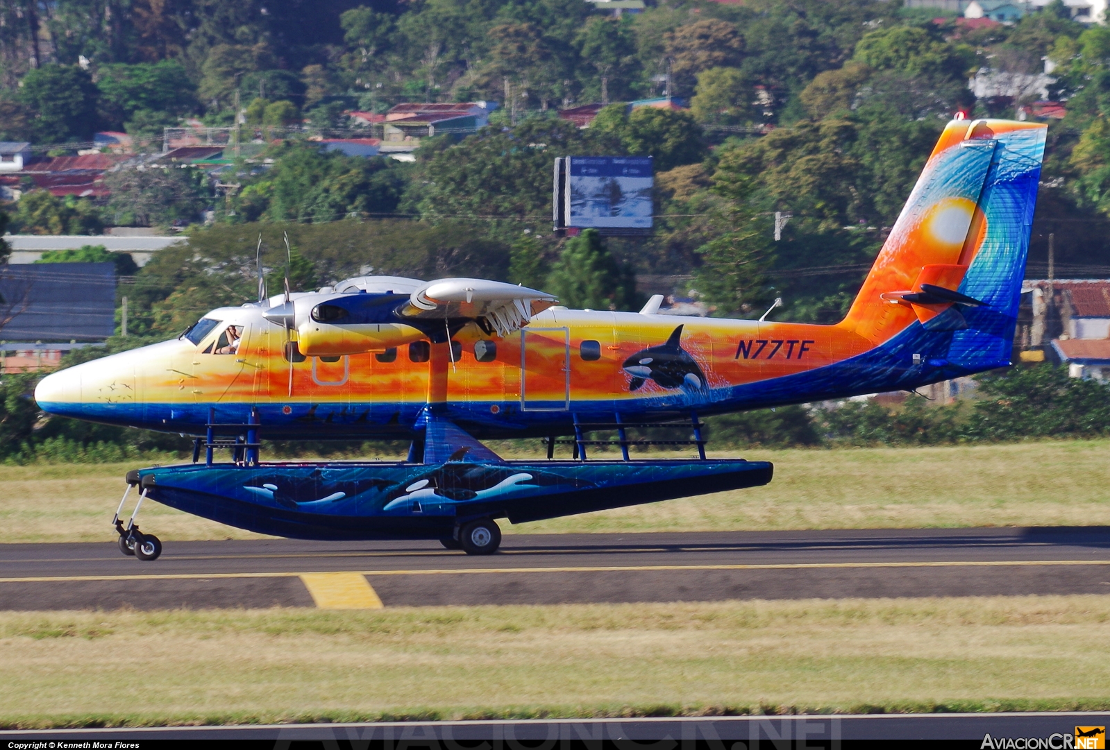 N77TF - Viking DHC-6-400 Twin Otter - Tudor Investment Company