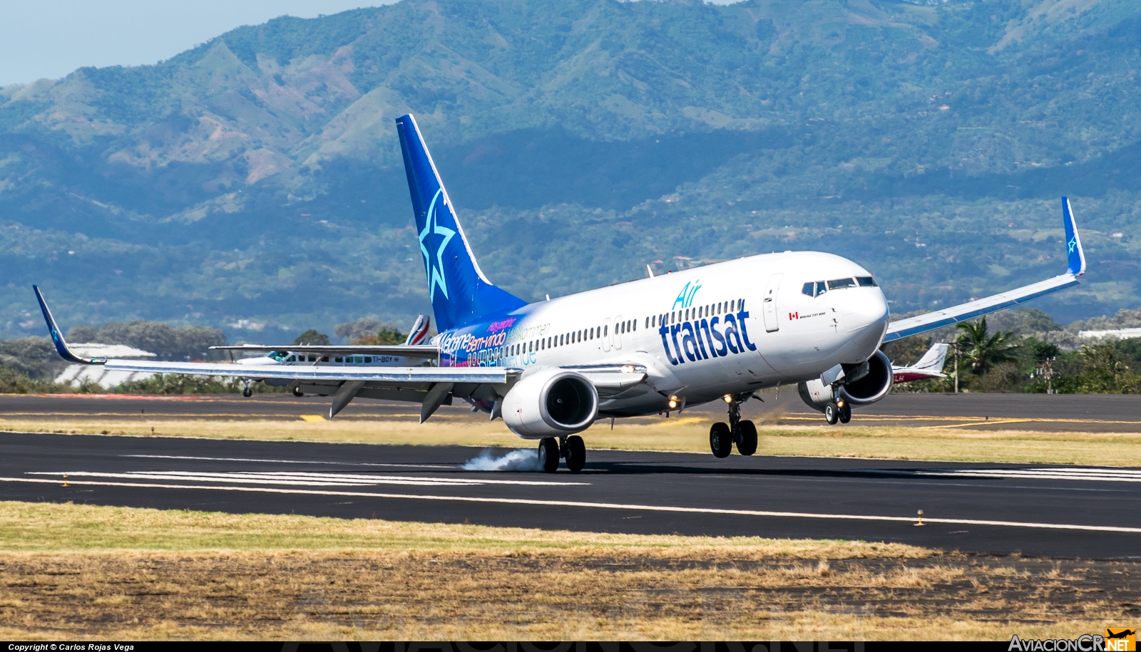 C-GTQY - Boeing 737-8Q8 - Air Transat