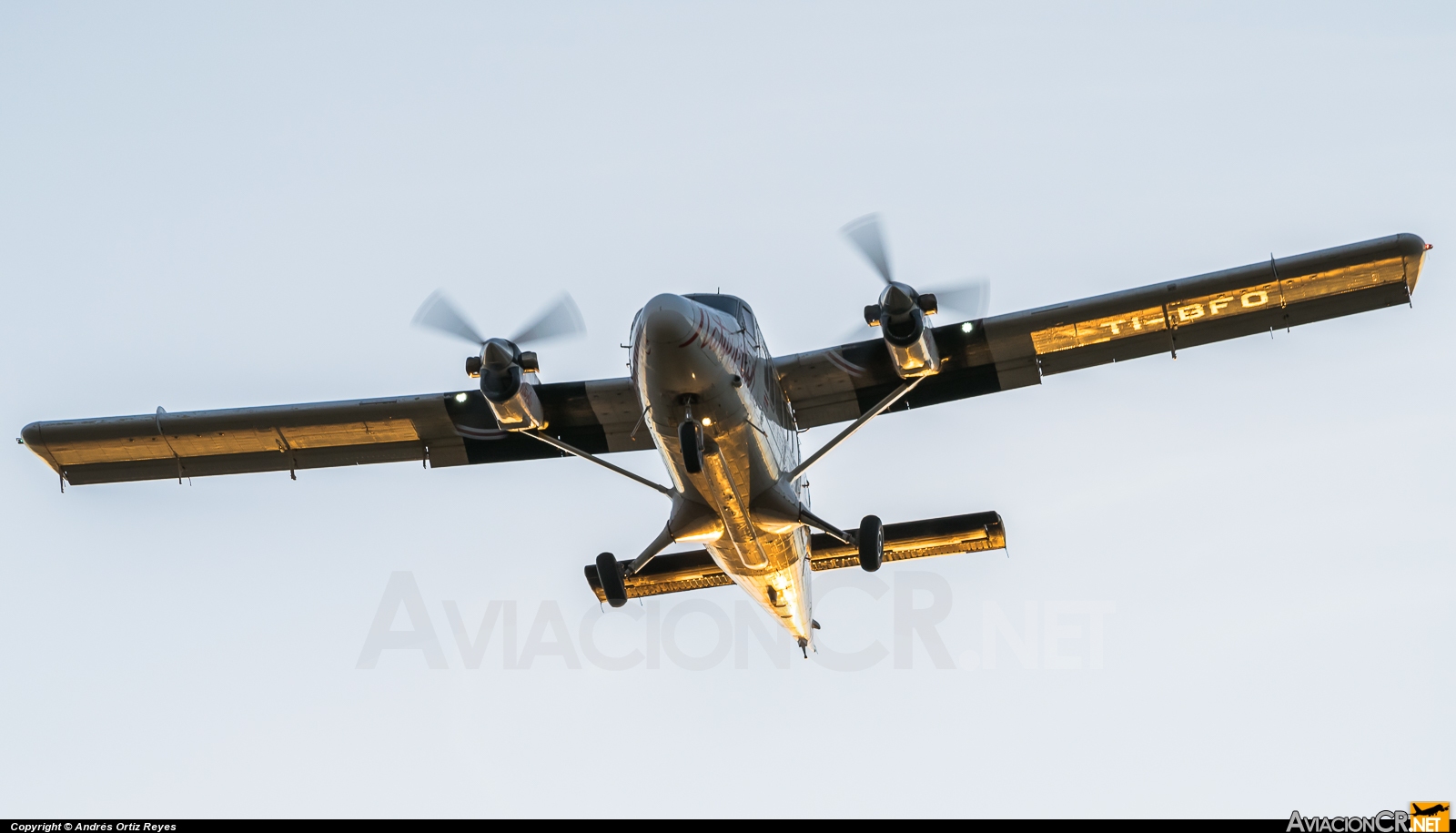 TI-BFO - De Havilland Canada DHC-6-300 Twin Otter/VistaLiner - Nature Air