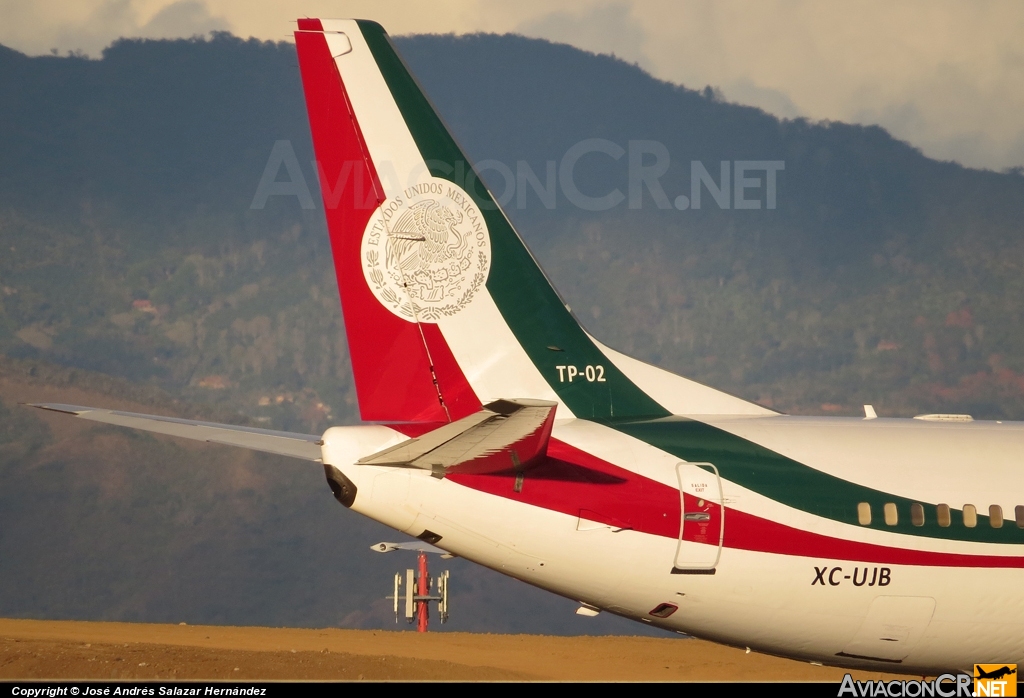 TP-02 - Boeing 737-33A - Fuerza Aerea Mexicana