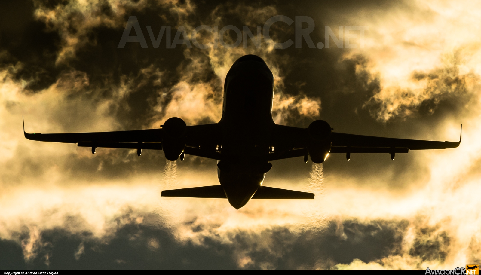 N703AV - Airbus A319-132 - Avianca