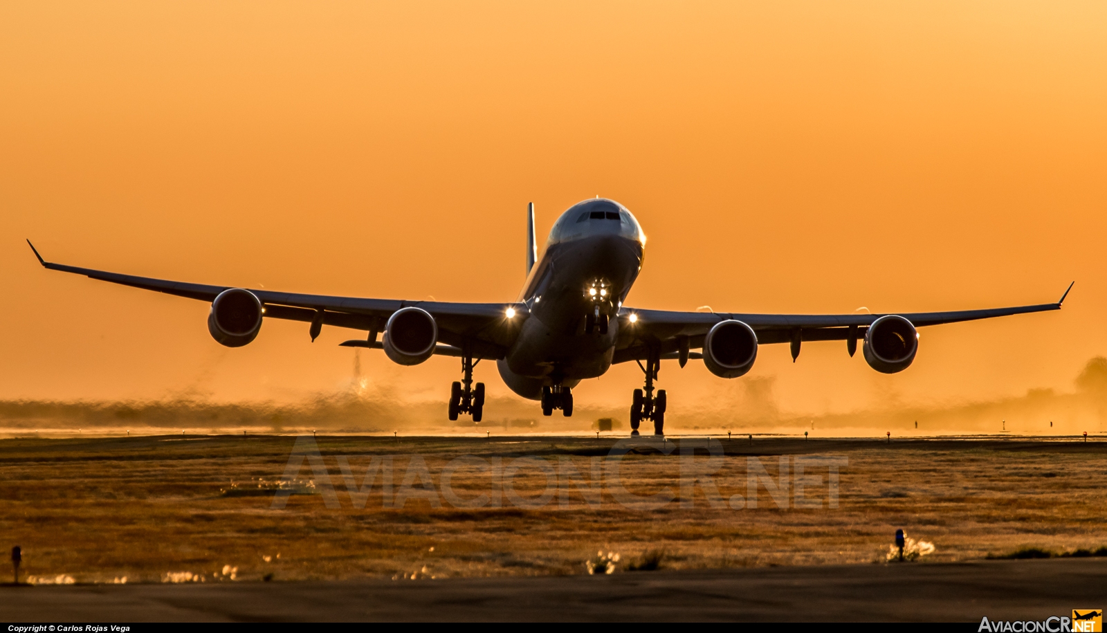 EC-JNQ - Airbus A340-642 - Iberia