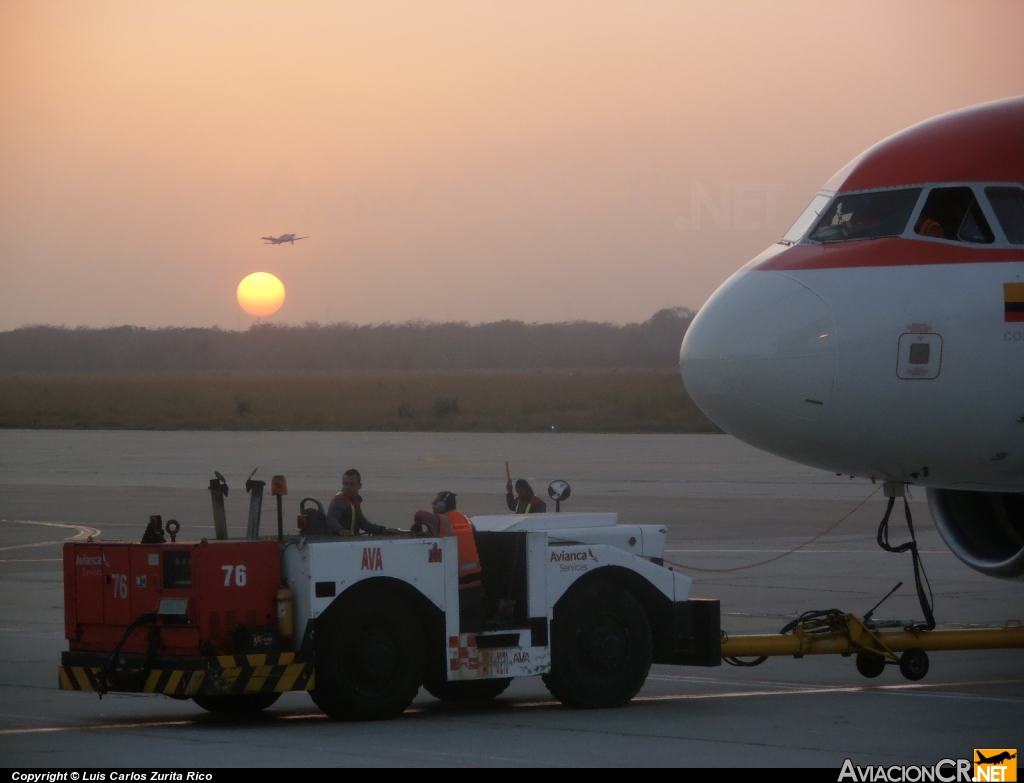 N592EL - Airbus A318-111 - Avianca