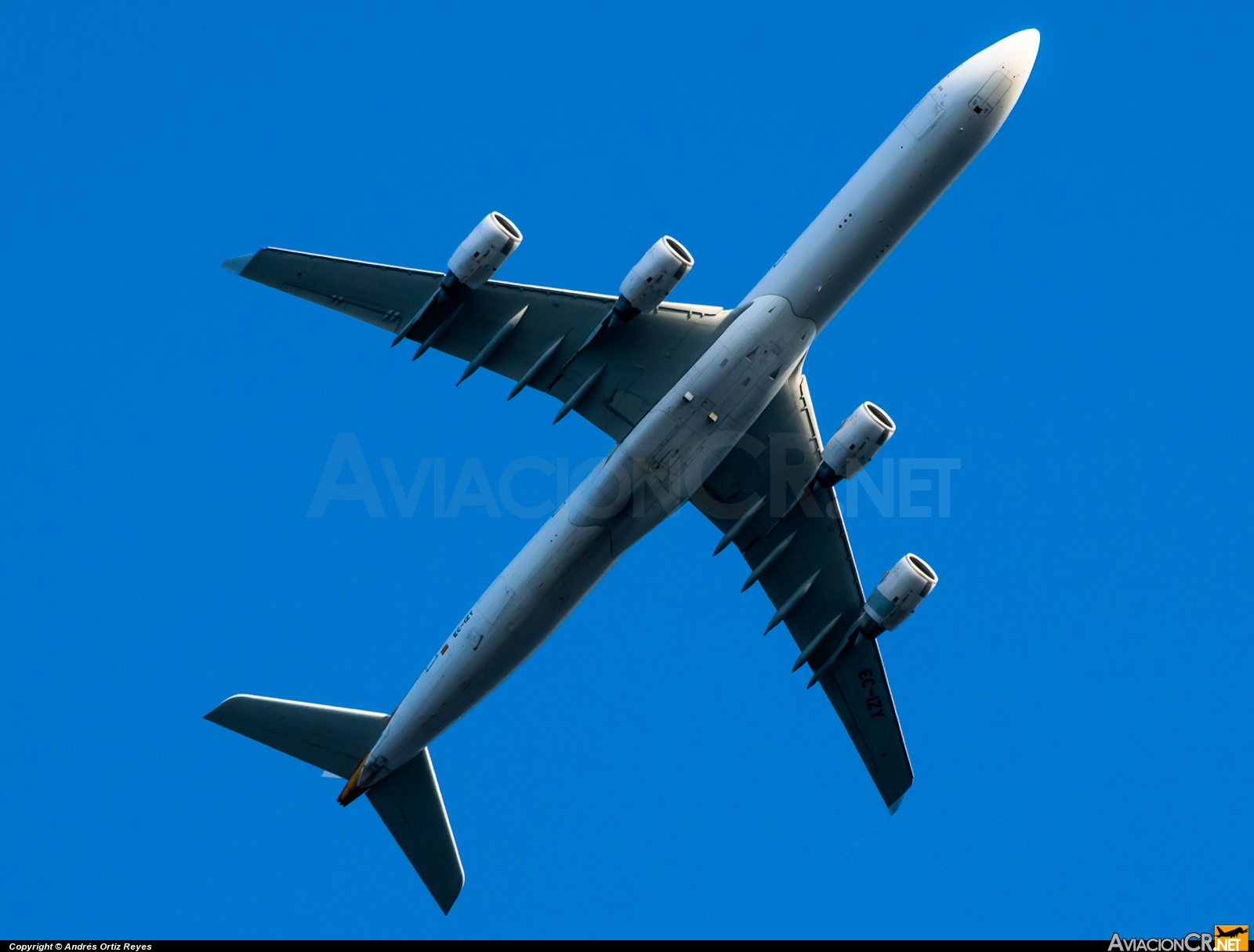 EC-IZY - Airbus A340-642 - Iberia