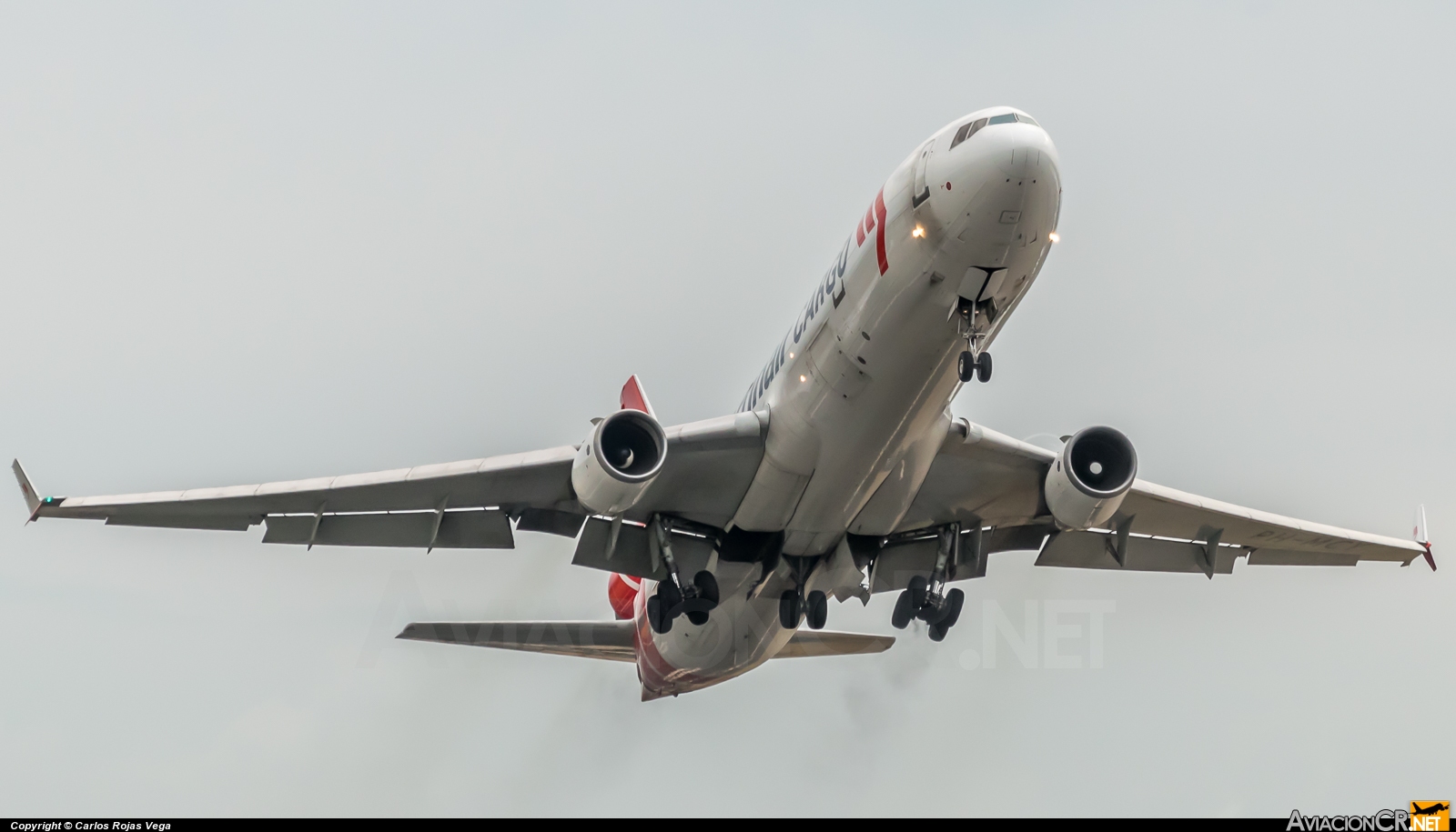 PH-MCY - McDonnell Douglas MD-11(CF) - Martinair Cargo