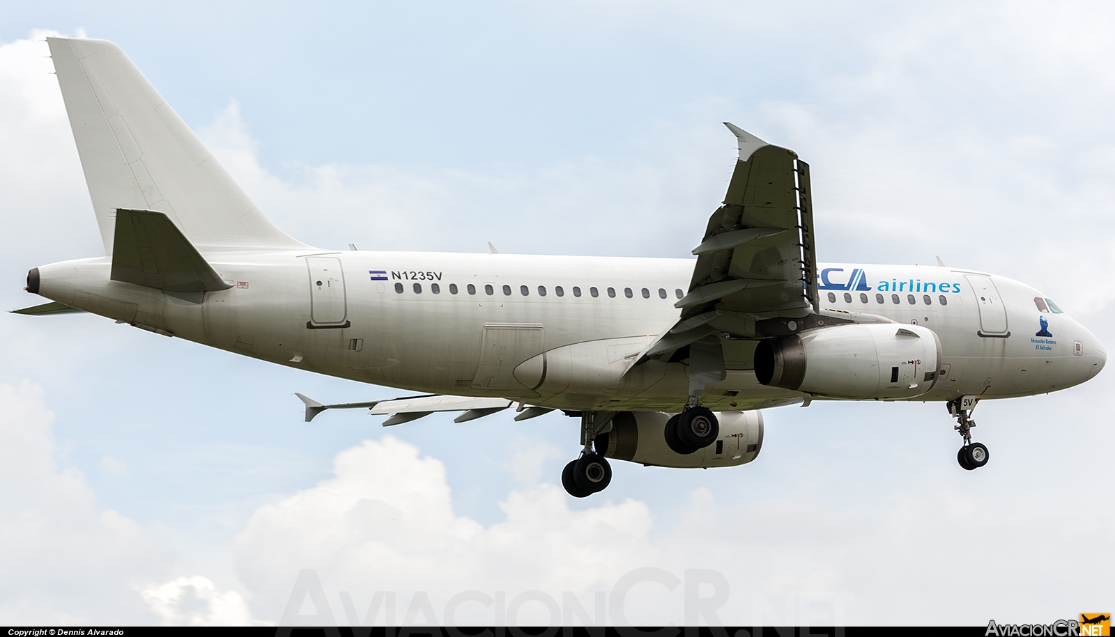 N1235V - Airbus A319-132 - VECA