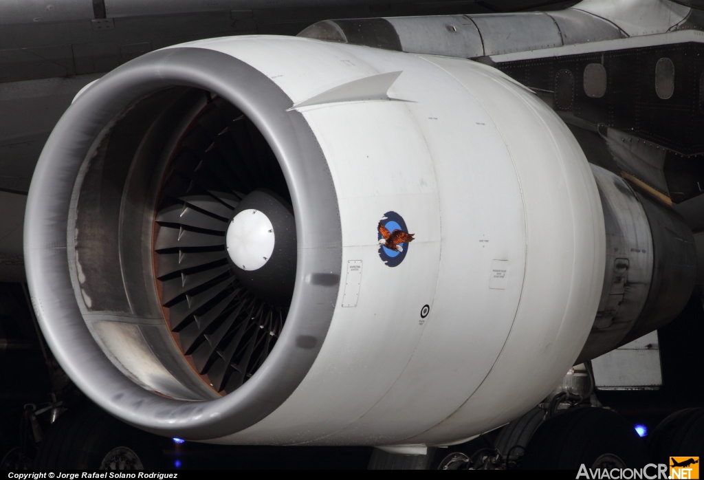 PH-MCY - McDonnell Douglas MD-11(CF) - Martinair Cargo