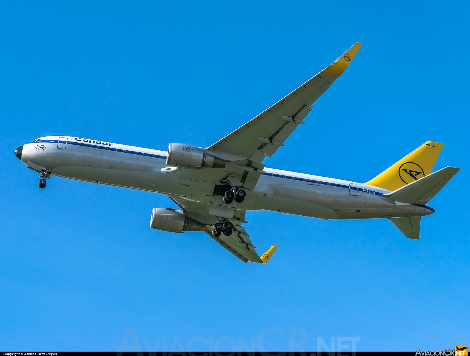 D-ABUM - Boeing 767-31B(ER) - Condor