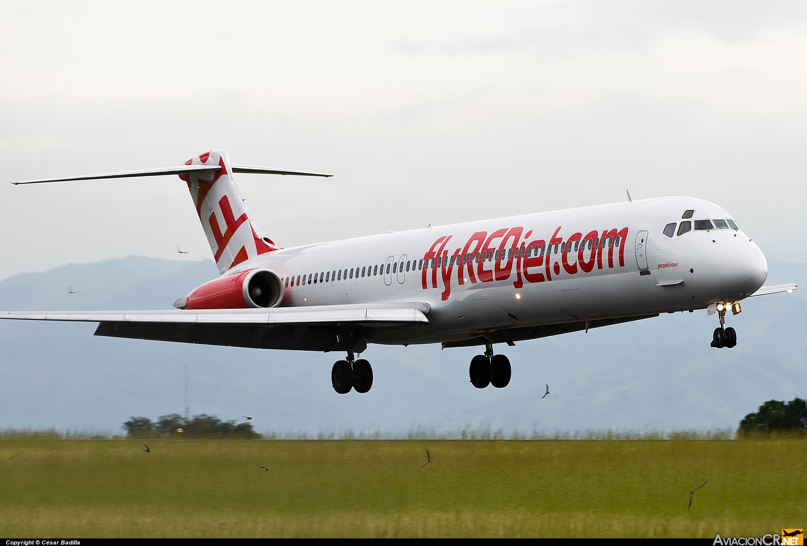 N445AA - McDonnell Douglas MD-82 (DC-9-82) - REDjet