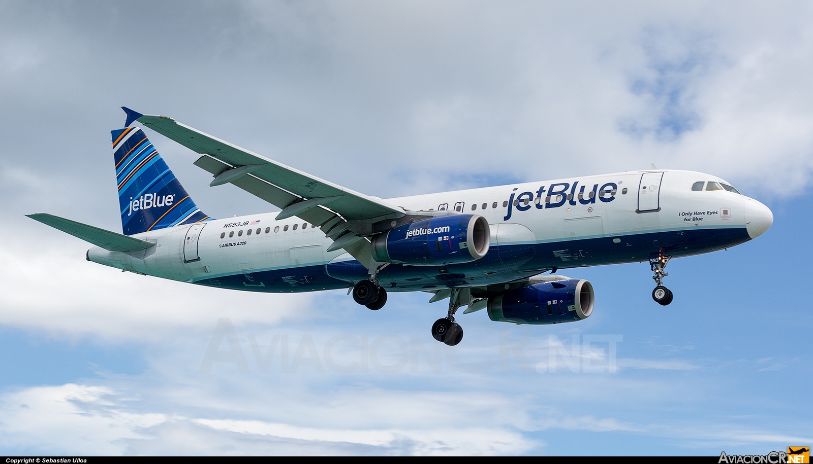N593JB - Airbus A320-232 - Jet Blue