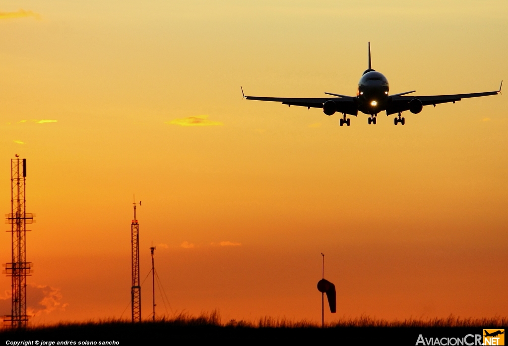 PH-MCW - McDonnell Douglas MD-11F - Martinair Cargo