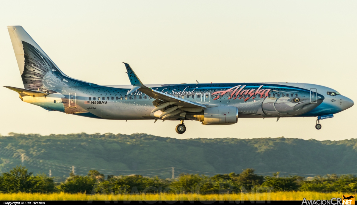 N559AS - Boeing 737-890 - Alaska Airlines