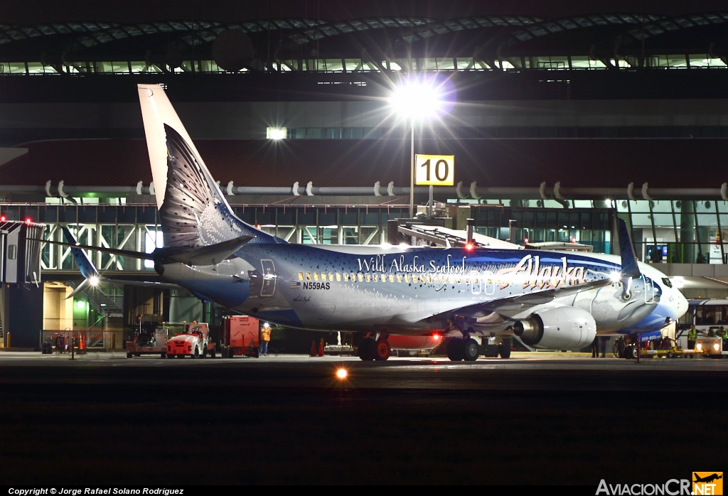 N559AS - Boeing 737-890 - Alaska Airlines