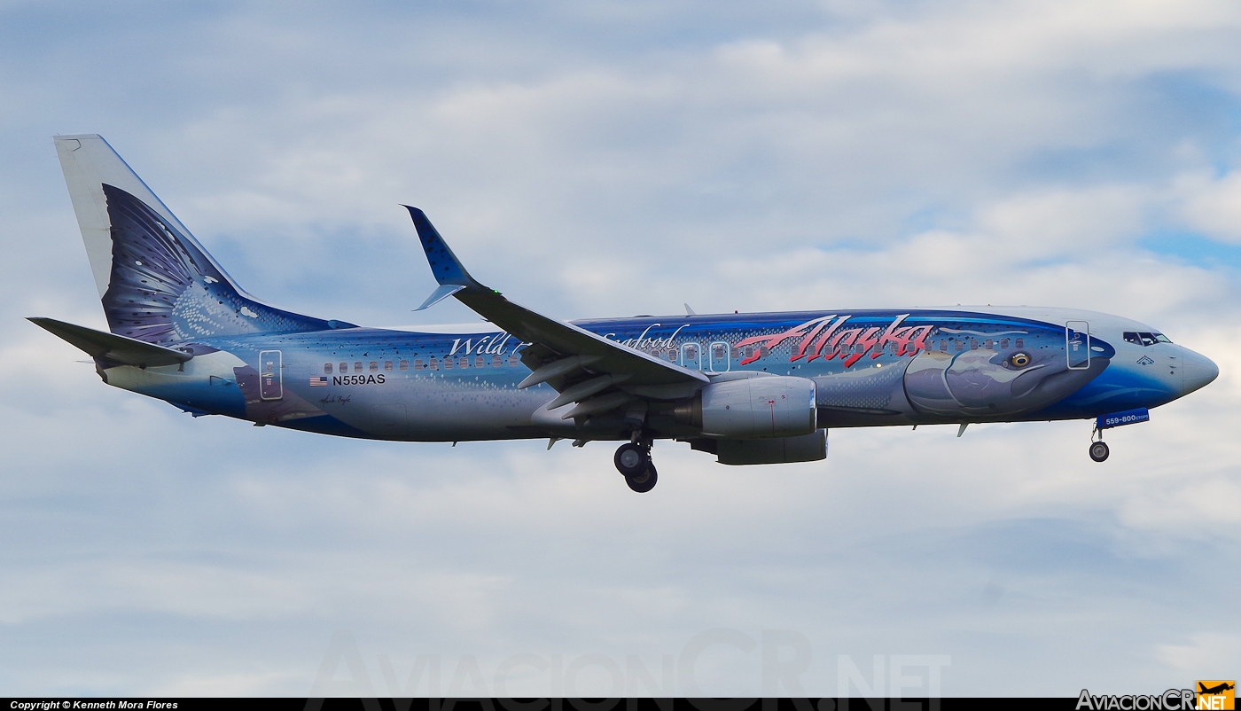 N559AS - Boeing 737-890 - Alaska Airlines