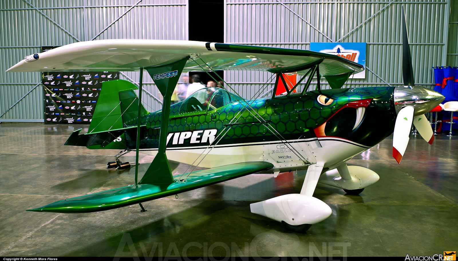 N4204S - Pitts S-2S Special - Privado