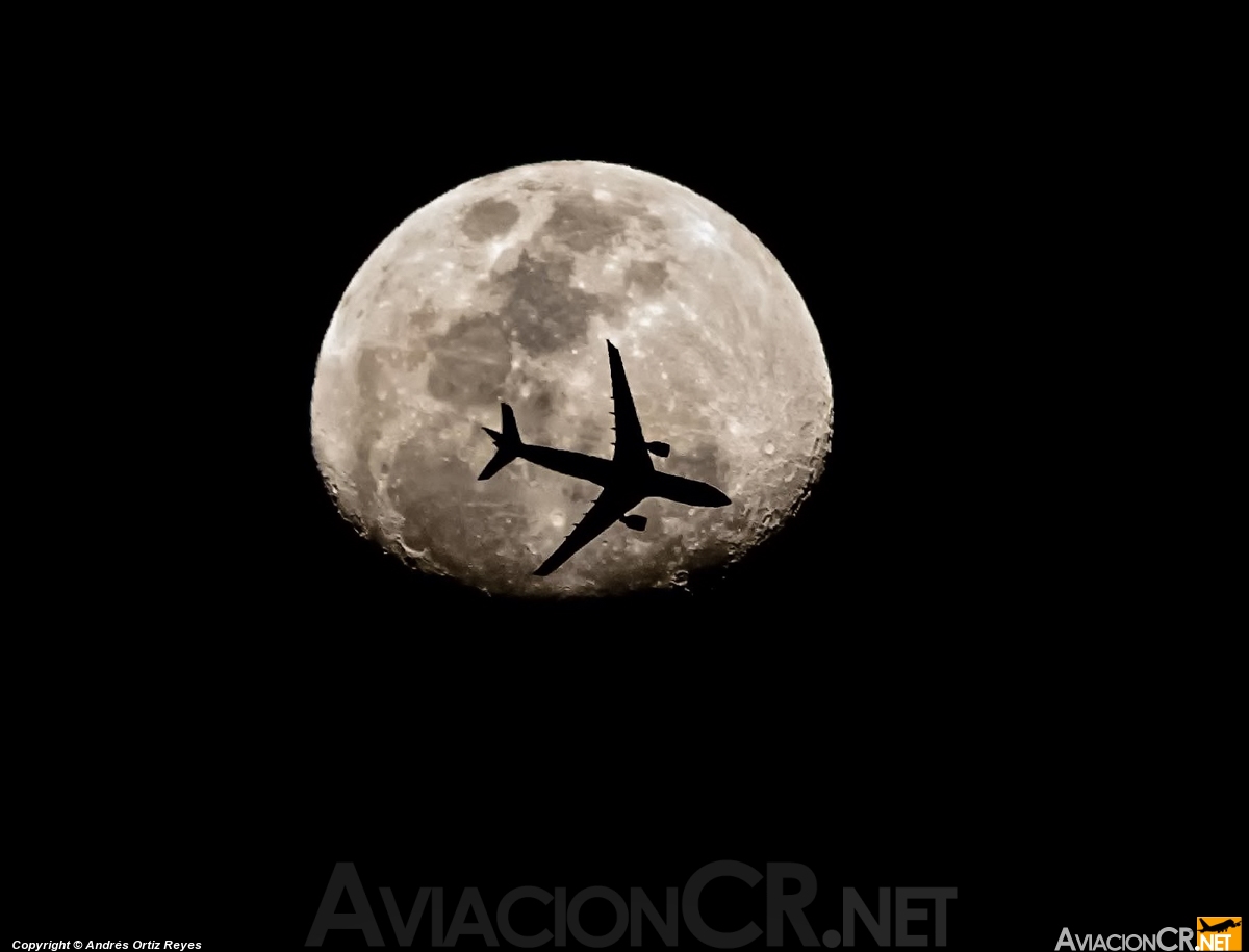 PT-MVQ - Airbus A330-223 - TAM Linhas Aéreas