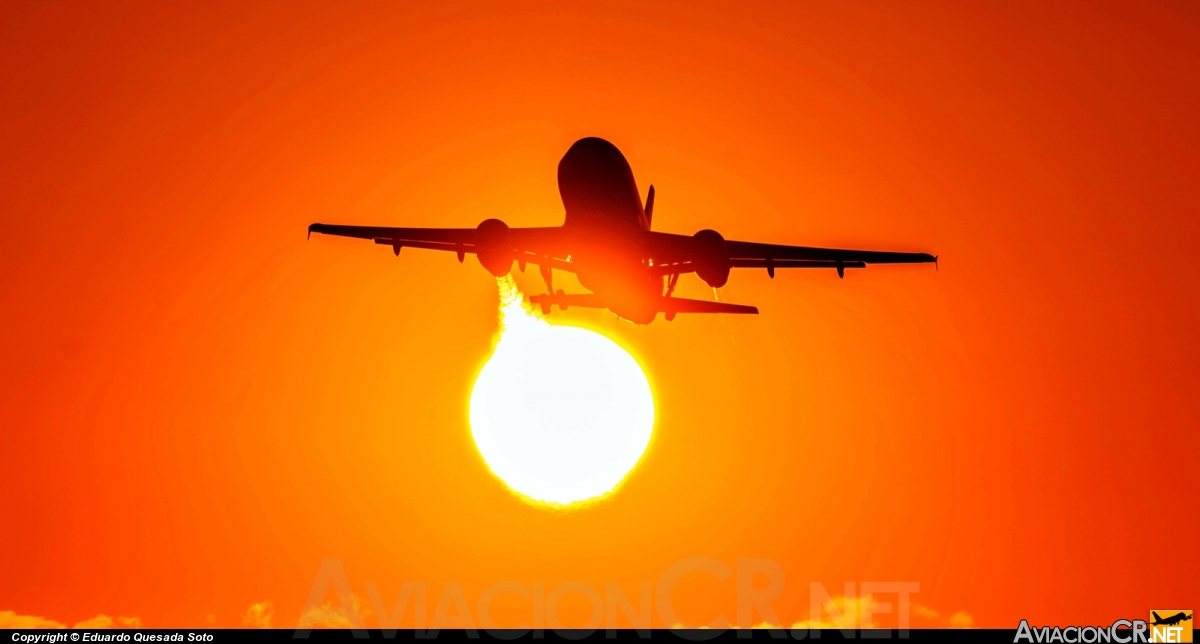 N524TA - Airbus A319-132 - TACA International Airlines