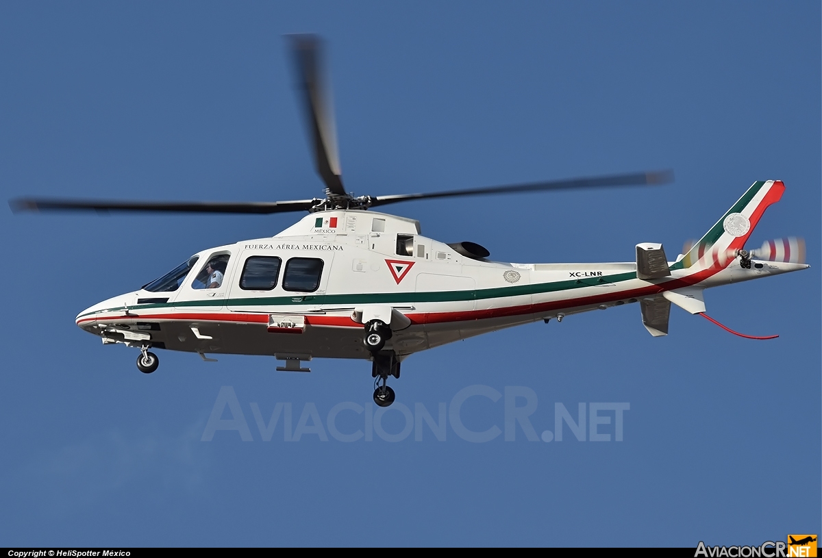 XC-LNR - Agusta Westland AW-109SP GrandNew - Fuerza Aerea Mexicana