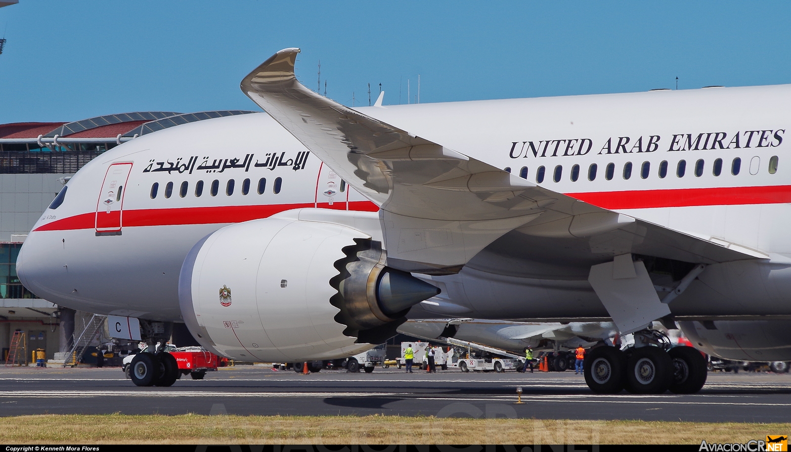 A6-PFC - Boeing 787-8 - United Arab Emirates - Abu Dhabi Amiri Flight