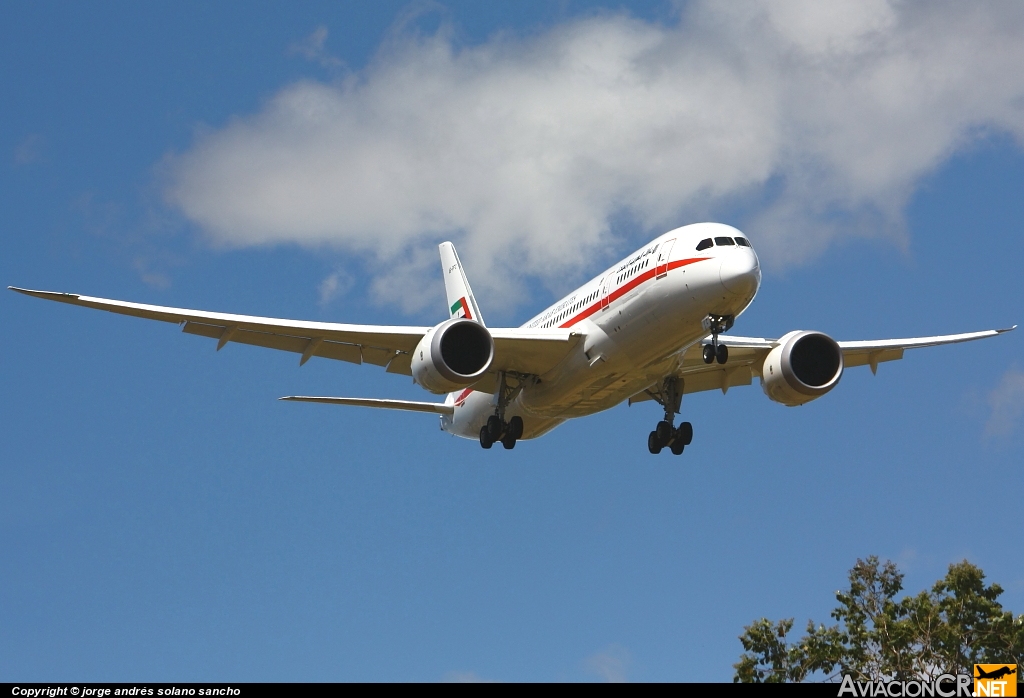 A6-PFC - Boeing 787-8 - United Arab Emirates - Abu Dhabi Amiri Flight