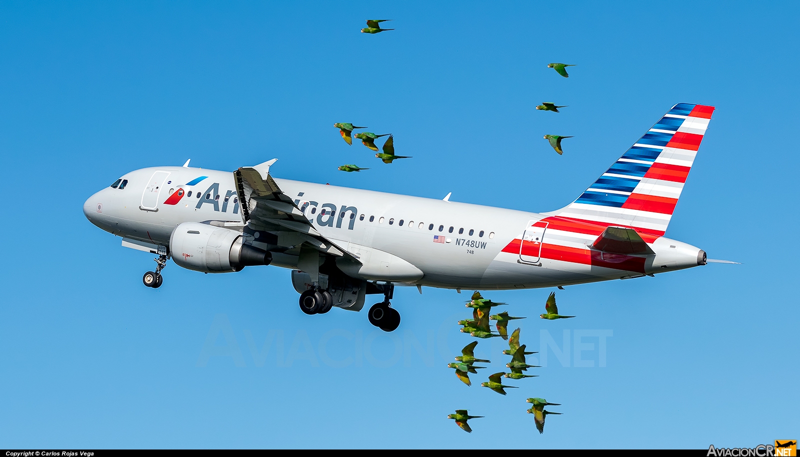 N748UW - Airbus A319-112 - American Airlines (US Airways)