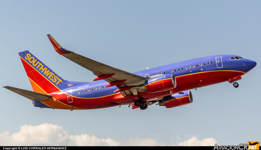 N444WN - Boeing 737-7H4 - Southwest Airlines